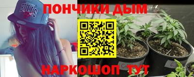 МДПВ Боровичи
