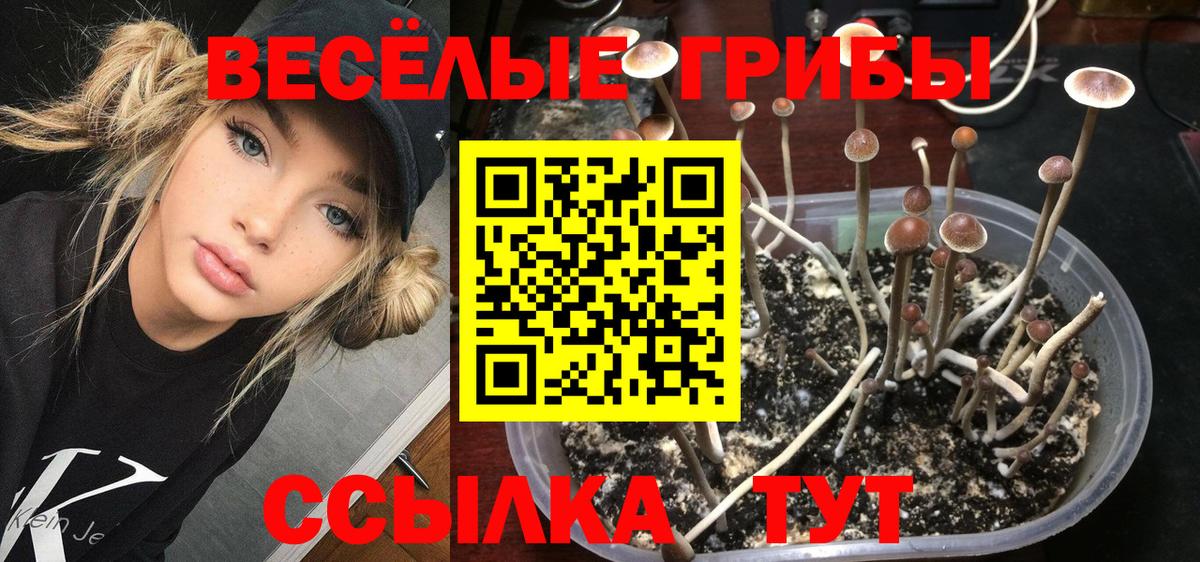 Псилоцибиновые грибы Magic Shrooms Бор